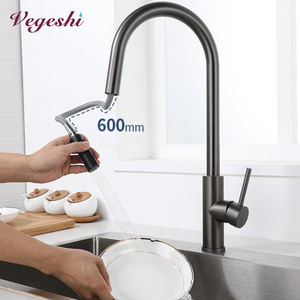 Vegeshi 2-function kitchen sink faucet with pull down sprayer pull out brushed nickle gun black  kitchen faucets with sprayer