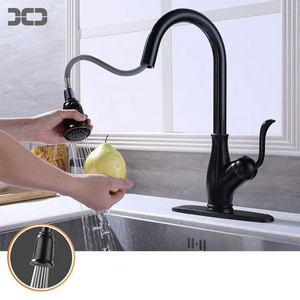 Grifo de la cocina Kitchen Faucet with Sprayer Pull Out Faucet Kitchen Faucet Pull Down