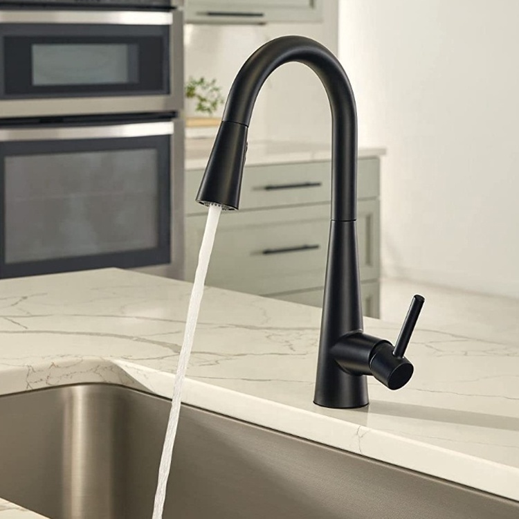 Matte Black One Handle High Arc Pulldown Kitchen Faucet