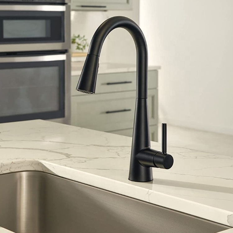 Matte Black One Handle High Arc Pulldown Kitchen Faucet