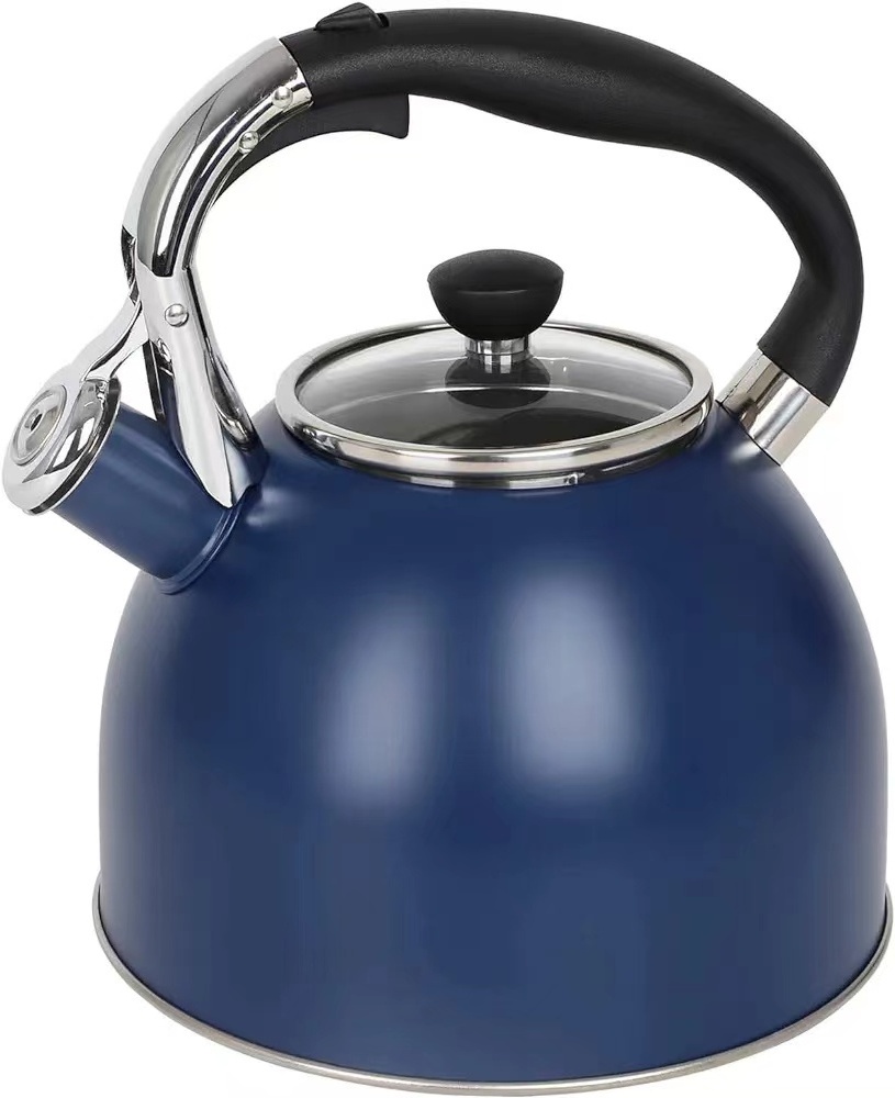 3.0L Whistling Tea and Water Kettle New Design Boiling Water Kettle Gas Induction Stovetop SS 304/201 Material Colored Body