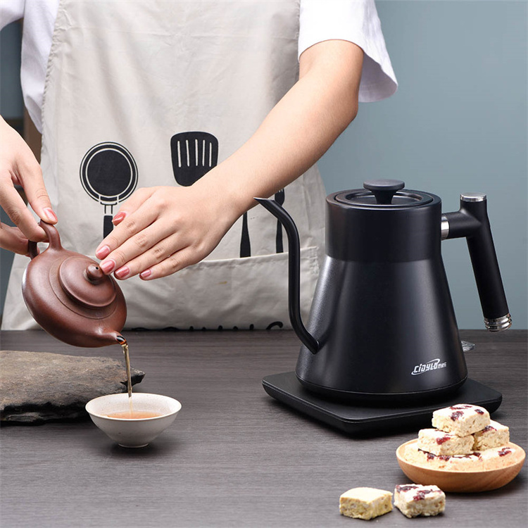 Tea Electric Kettle Bouilloire Electrique 'Kattle' Eltrico Portable Water Boiler Tea Hot Kettle