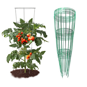 Outdoor Iron Metal Plant Support Stick Stakes Heavy Duty Garden Trellis Tomato Cage for Climbing Plants