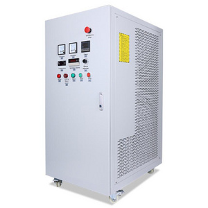 Factory price Swimming Pool Ozone Generator Water Treatment 100g Ozonator Ozone Generator For spa