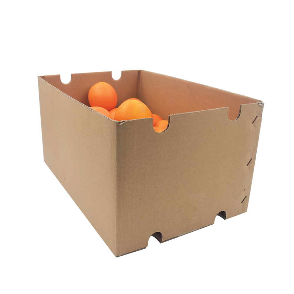 Custom design eco packaging fruit box apple banana shipping packaging cardboard boxes for fruit