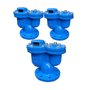 Ductile iron Flange Air Release Valve double ball air release Valve