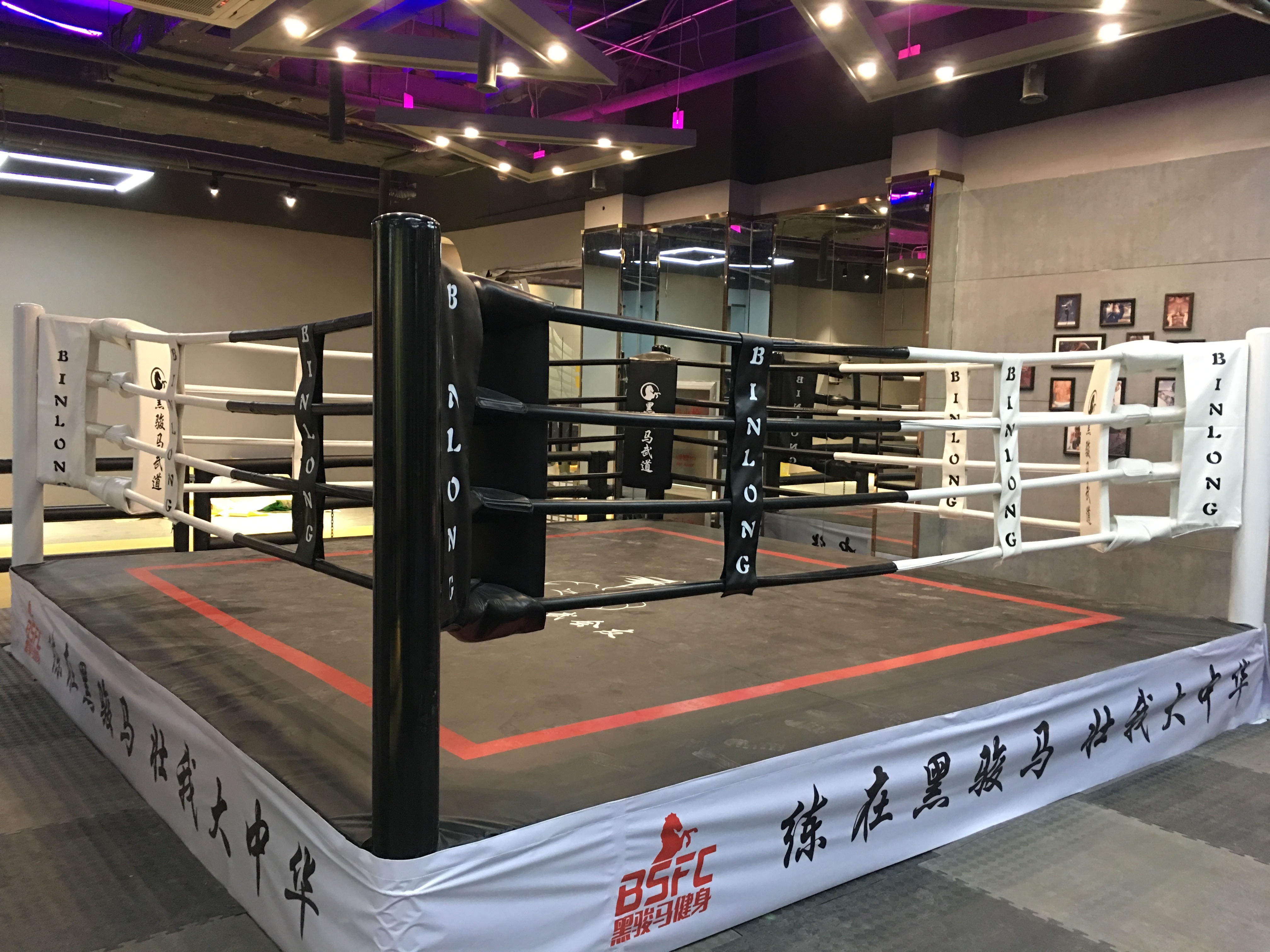 The factory wholesale european standard ring de boxe occasion mini price canvas cover boxing ring for sale