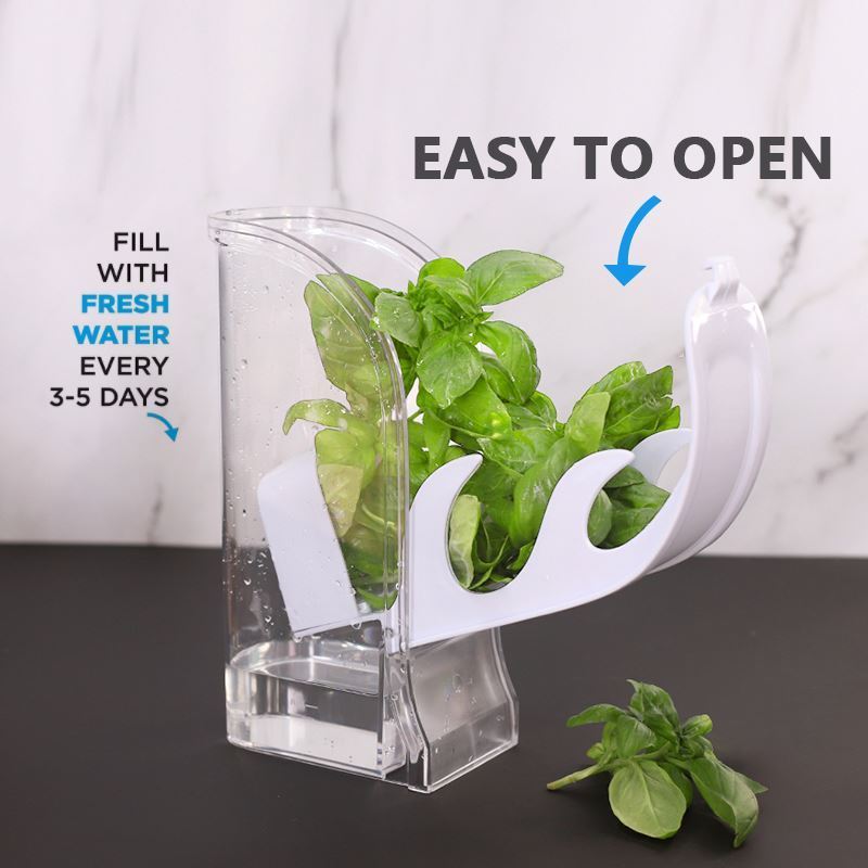 2022 New breathable herb keeper fresh herb keeper storage vegetable container fresh herb saver 2022