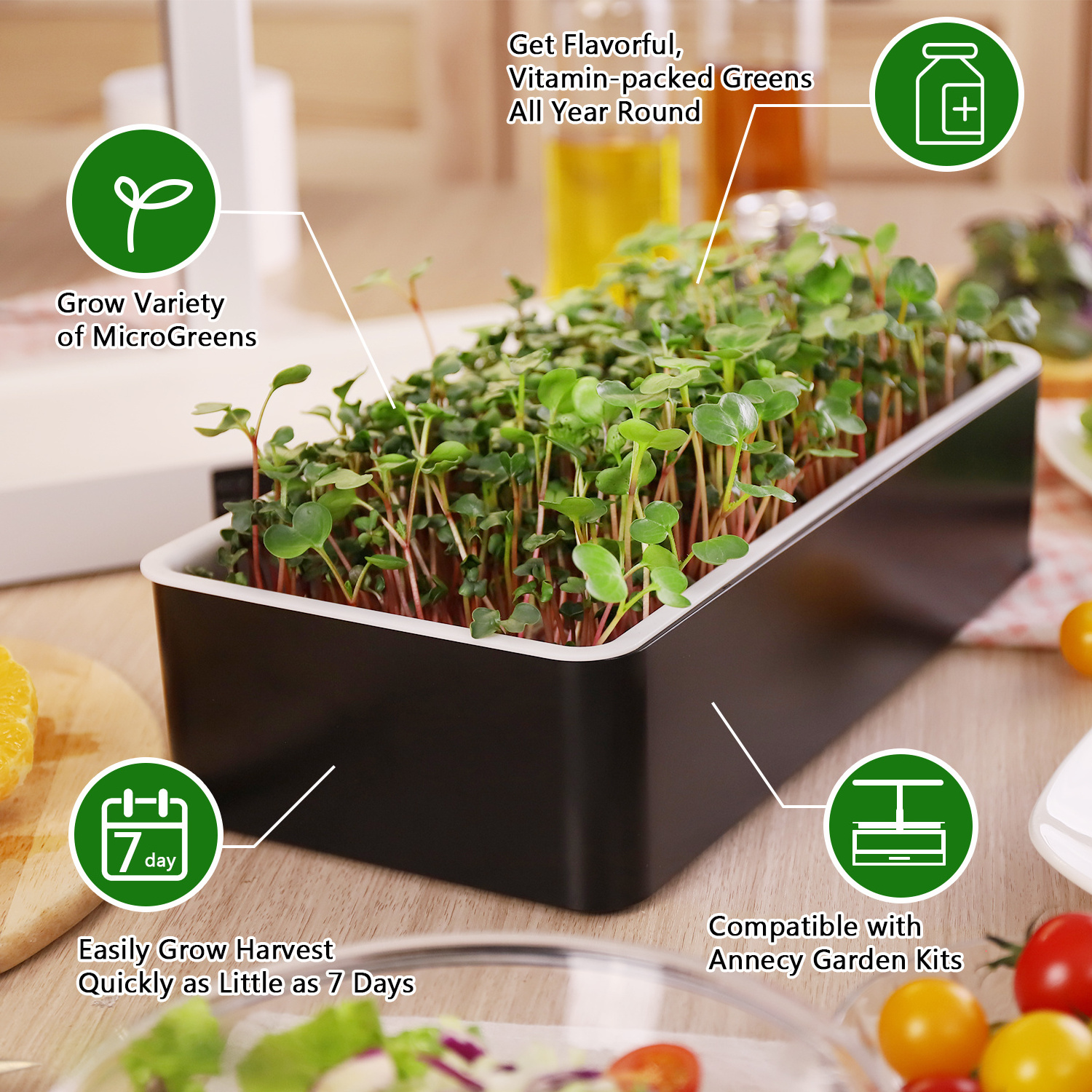 J&C indoor gardening system microgreen growing system indoor garden hydroponic smart included LED grow light and growing trays