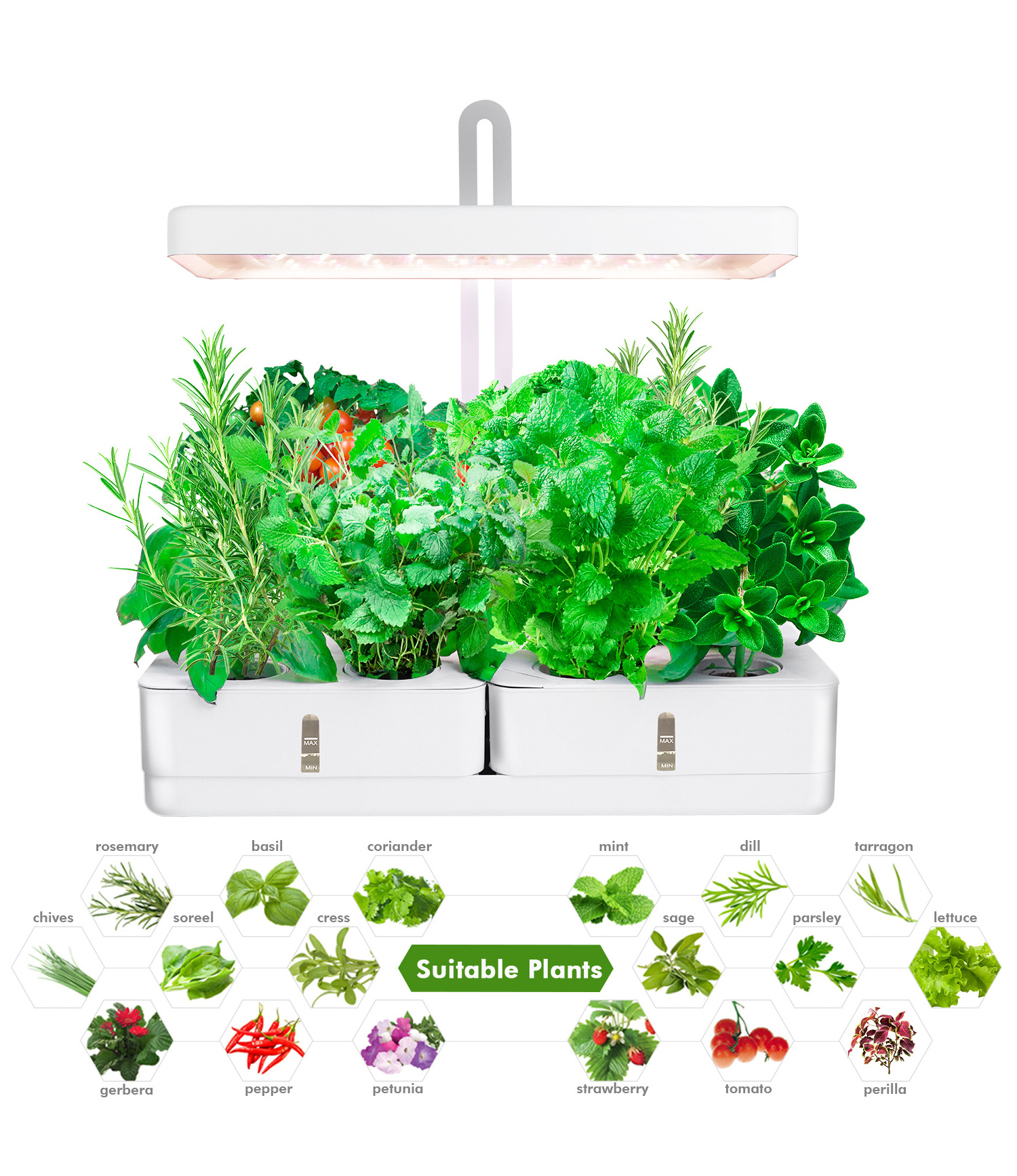 Mini Garden with Smart soil - 8 Pods Hydroponic Growing Systems Indoor aero Garden 20 Watts Smart Garden Hydroponics Grow Kit