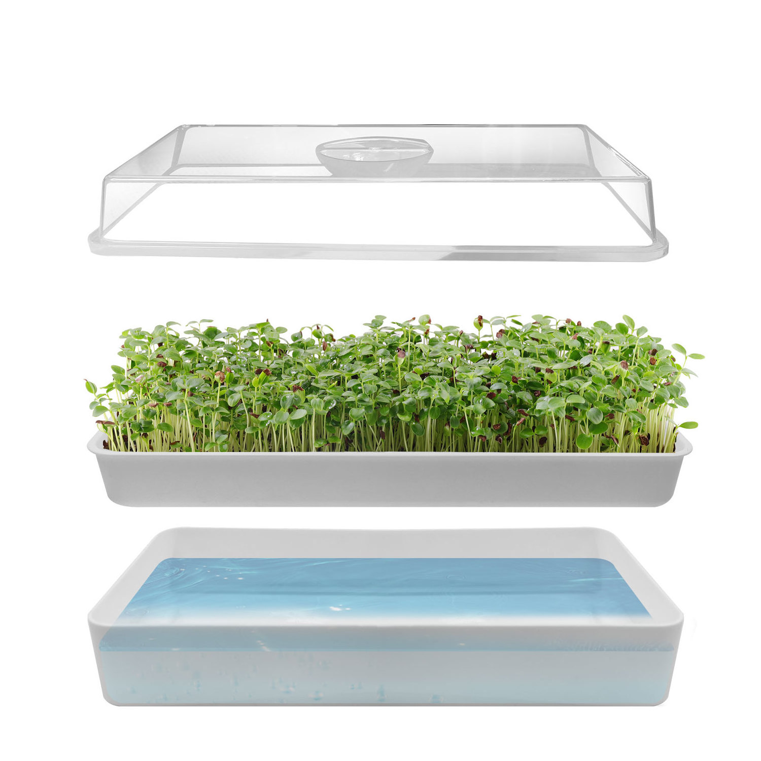 J&C gardening accessories plastic microgreen tray microgreen kit microgreen tray with bottom white reusable