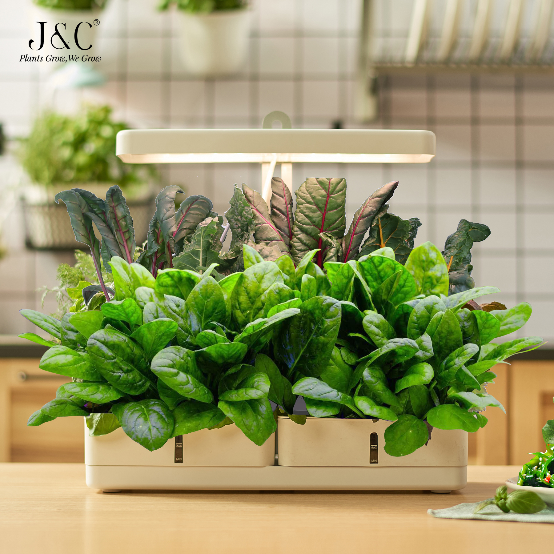 Mini Garden with Smart soil - 8 Pods Hydroponic Growing Systems Indoor aero Garden 20 Watts Smart Garden Hydroponics Grow Kit