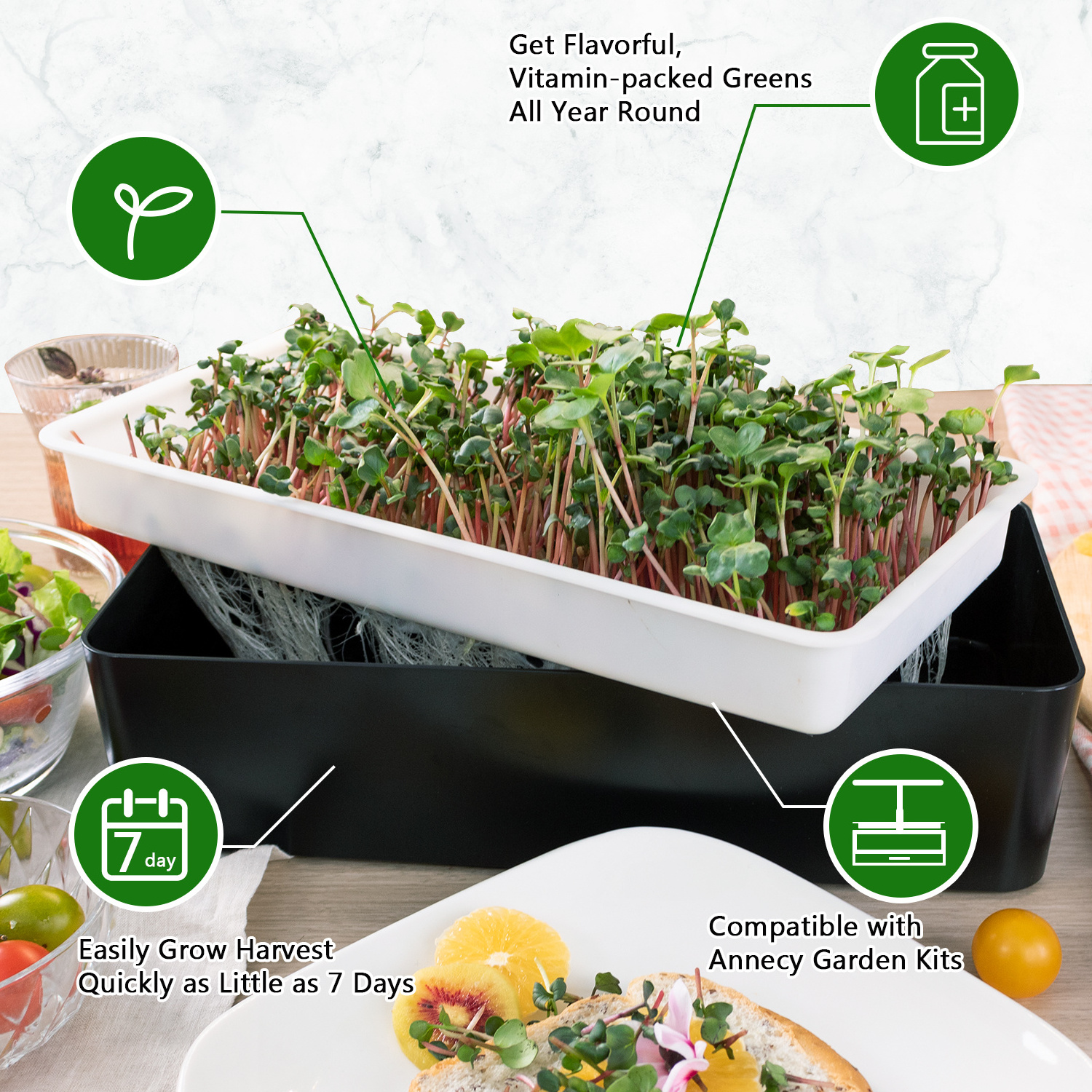 plant light spectrum microgreen grow light greenjoy indoor herb garden starter kit sprout grow light fixtures