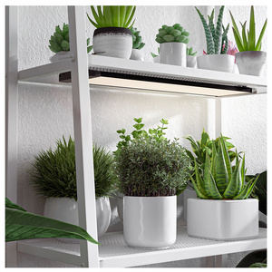 Indoor Plants Indoor Grow Lights Plant Growing Stand with Grow Lights for Indoor Plants Lamp