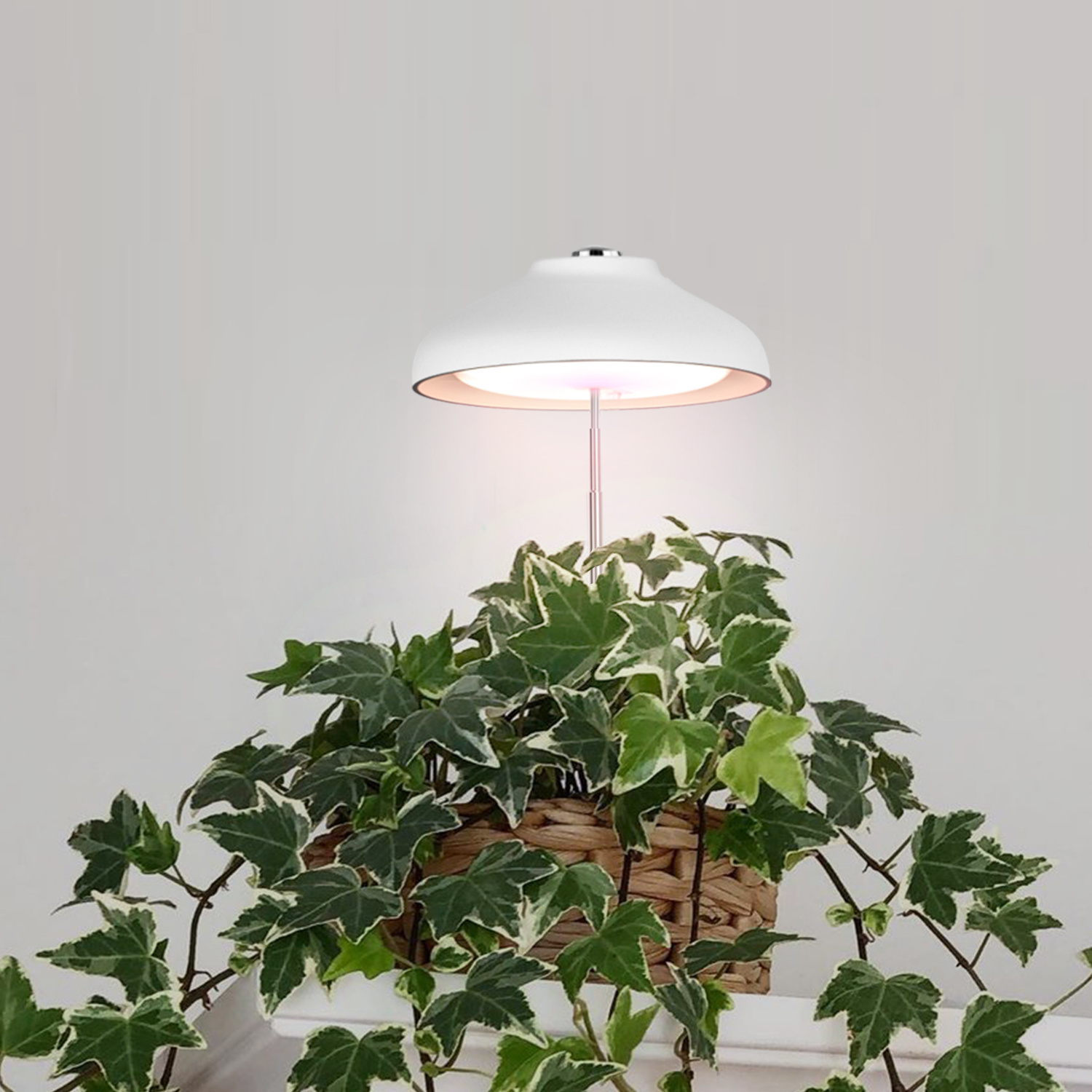 Height Adjustable Herb Garden USB Umbrella Grow Light Plant Indoor Full Spectrum Mini Led Grow Lights Automatic Timer