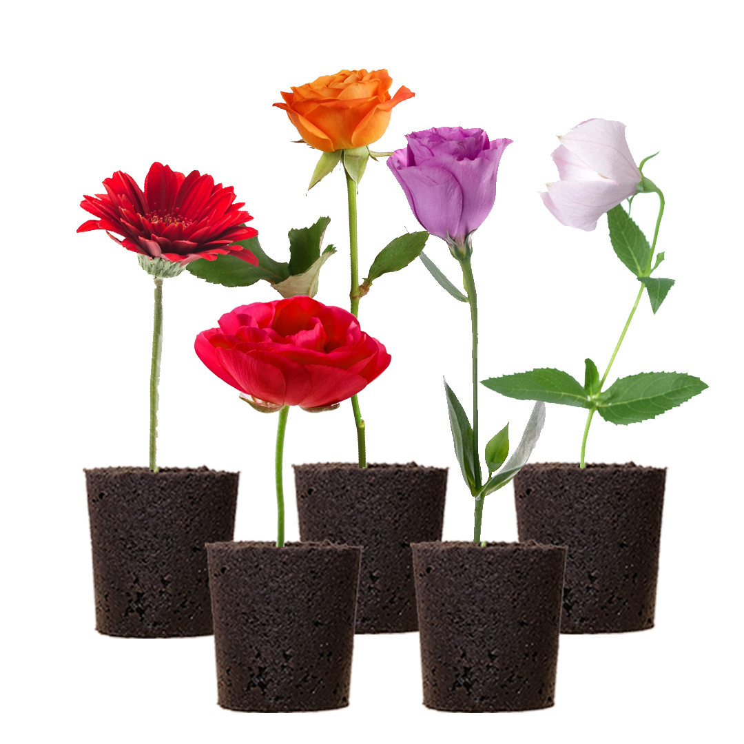 Plant Propagation Smart Sponge Soil Floral Design Grow Medium Nutrient Peat Blocks For Cut Flowers Plants Growing