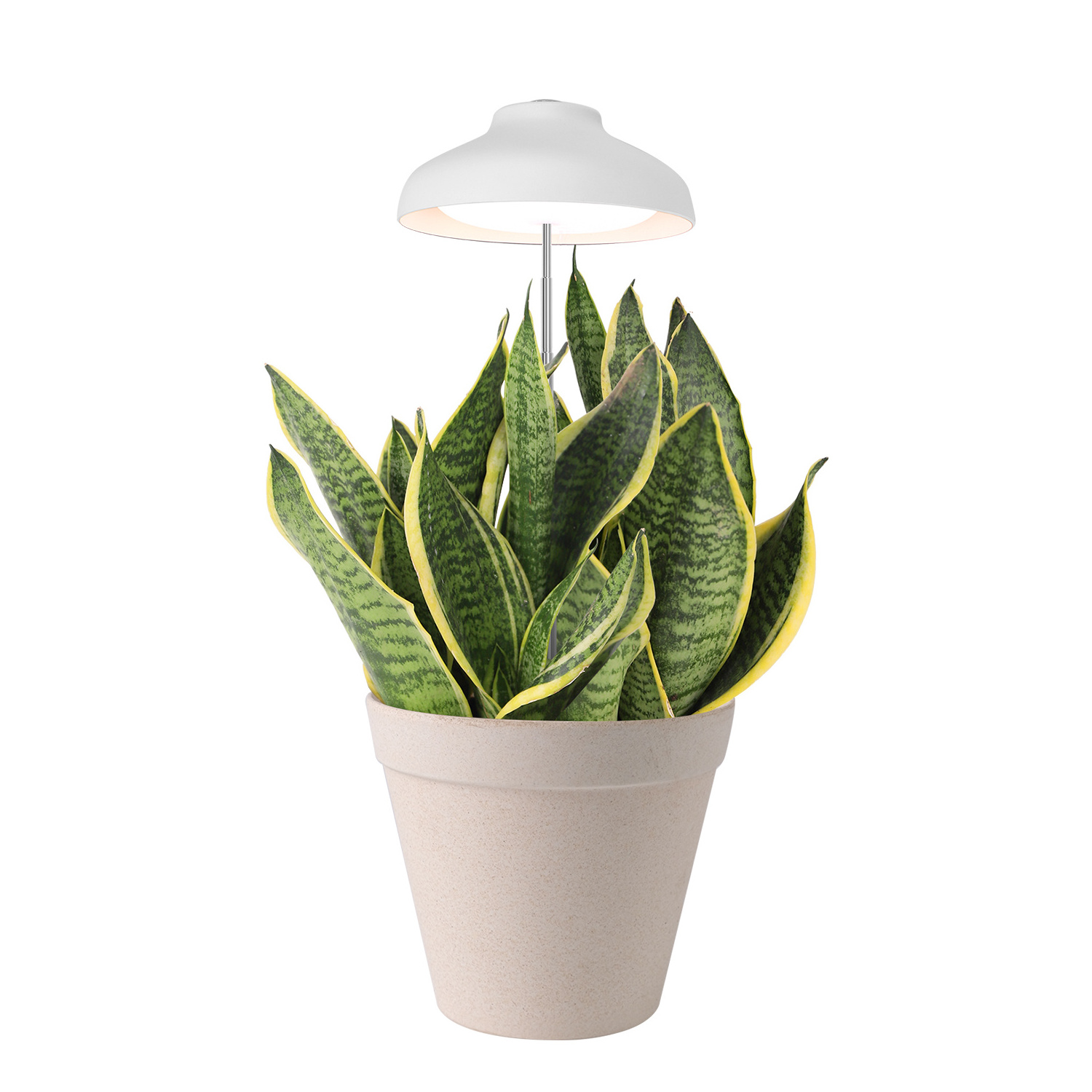 USB flower pots Lamp White Umbrella grow light indoor LED grow light full spectrum white led grow light