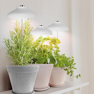 USB flower pots Lamp White Umbrella grow light indoor LED grow light full spectrum white led grow light