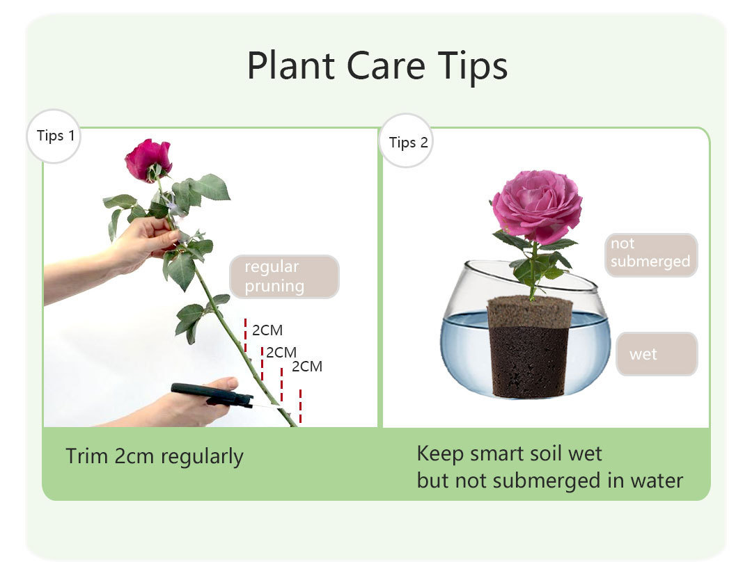 Plant Propagation Smart Sponge Soil Floral Design Grow Medium Nutrient Peat Blocks For Cut Flowers Plants Growing