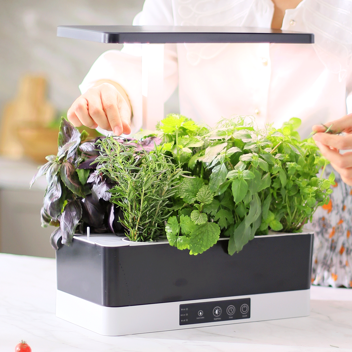 Black LED Hydroponic Kit Hydroponic Growing System 24W Full Spectrum Automatic Indoor Smart Garden Herb and Vegetable Garden