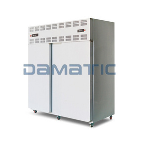 Commercial Vertical Single Double Door Ice Cream Seafood Fridge Blast Freezer Machine Refrigeration Tools Cryogenic Equipment