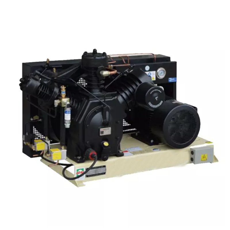 Hot Sale Hengda Use Compact CNG Stationary 30bar Booster H0621A High Pressure Piston  Air Compressor