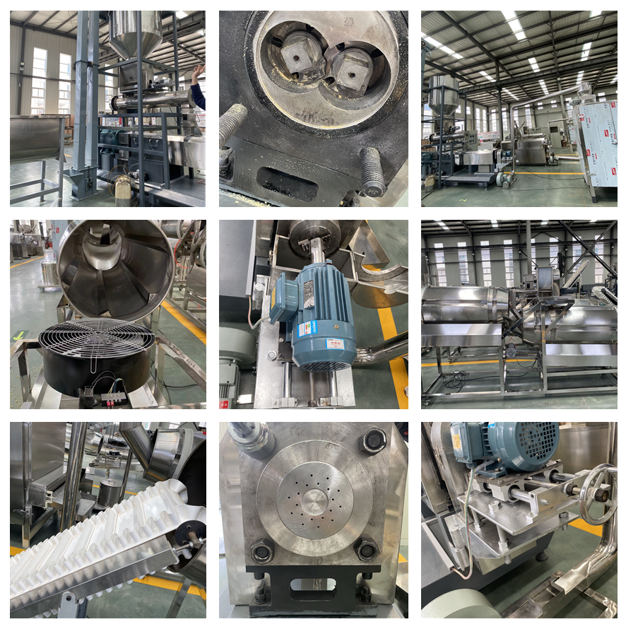 Automatic dog food processing line pet food machine twin screw extruder