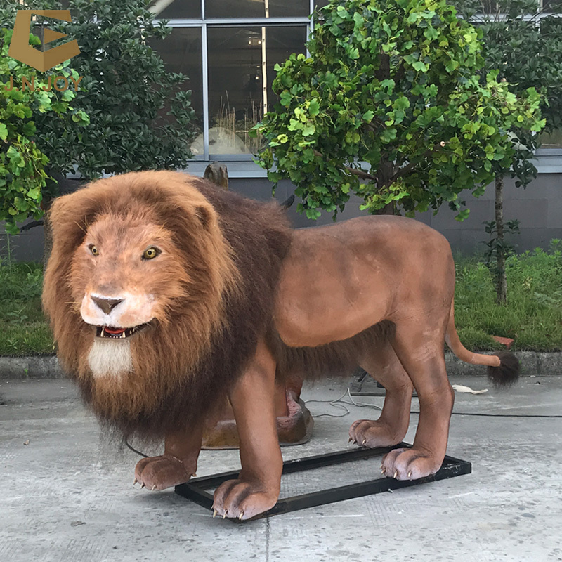 SGAA25 Zoo park life size realistic simulation lion model animatronic live animal lion for sale