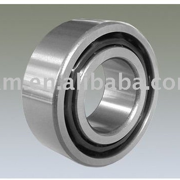 stainless steel bearing 6204