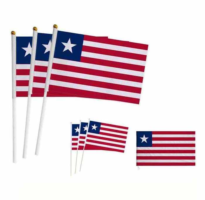 Wholesale Personalized Design Logo Small Mini Stick Flag Custom Hand Held Waving Flag With Plastic Pole aLL