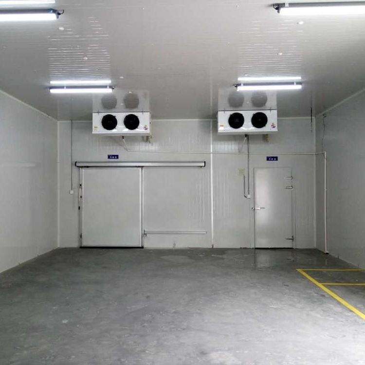 easy installed cold storage cooling freezing room for meat seafood