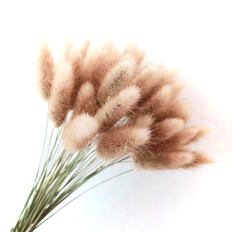 Make to order dried flowers bunny tail grass dry flower arrangements dried flowers in glass bottles