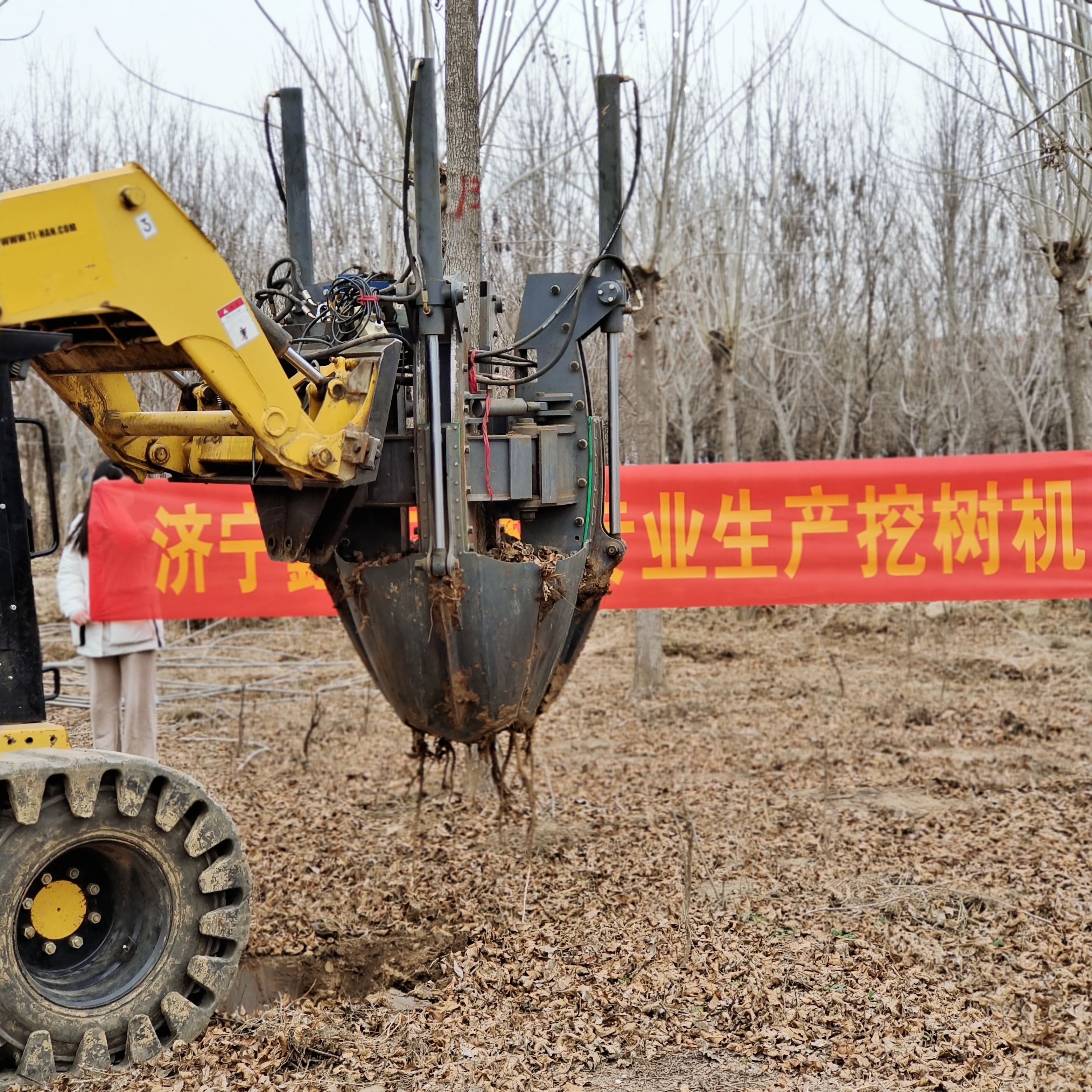 factory outlet high quality tree spade tree removing machine transplanting digging machine for sale