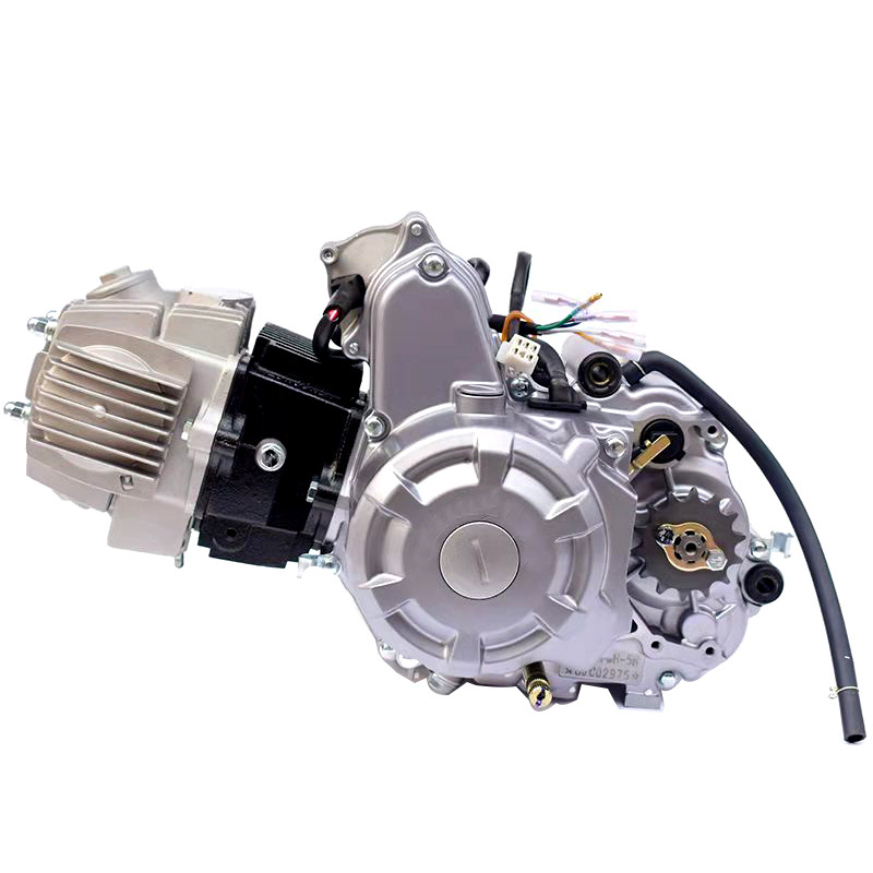 Hot sale two-wheeled three-wheeled motorcycle general air-cooled horizontal 110cc motorcycle engine assembly