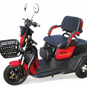 Convenient and efficient electric city bike tricycle for disabled