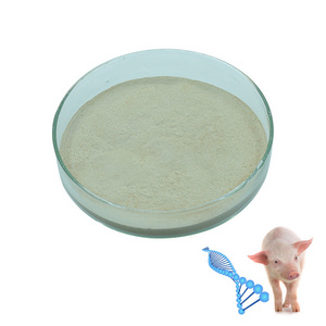 Antimycotic toxin binder feed for fattening pigs