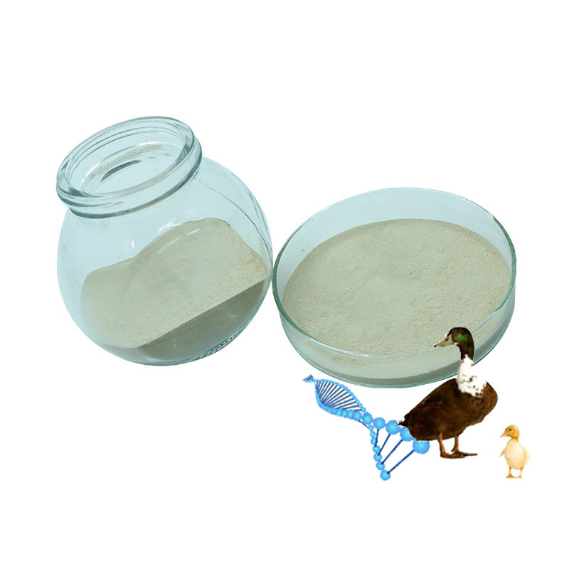 Animal Feed Additive Toxin Binder For Duck