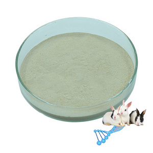 chicken feed nutrition enhancer toxin binder silage animal feed additive for duck