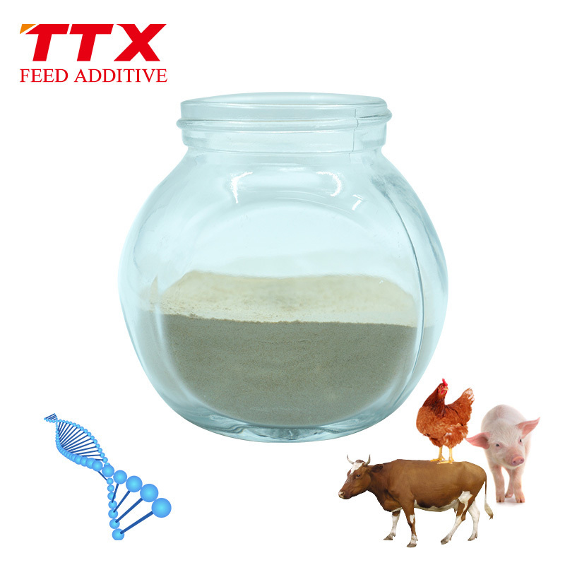 Animal feed additive yeast cell wall extract toxin binder