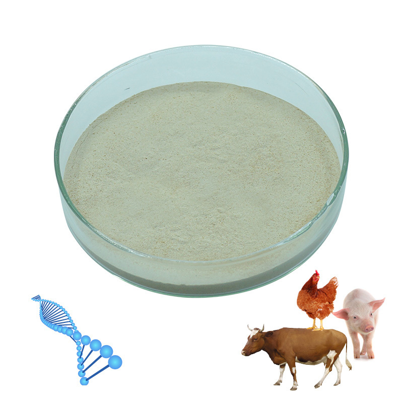 Cattle food toxin binder use in all soybean meal poultry feed