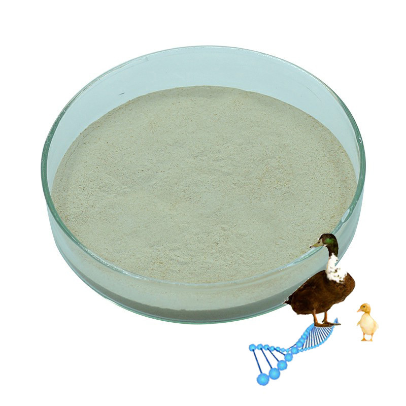 Animal Feed Additive Toxin Binder For Duck