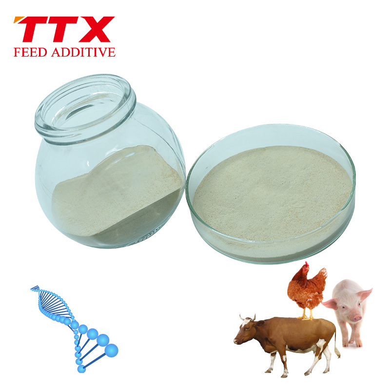 Animal feed additive yeast cell wall extract toxin binder