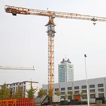 Explosive Modelsv QTZ315-7520 Flat-top Tower Crane