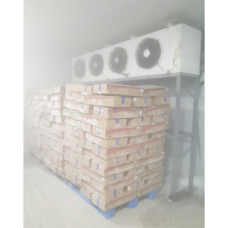 Chicken Storage Cold room keep fresh small blast freezer mini cool