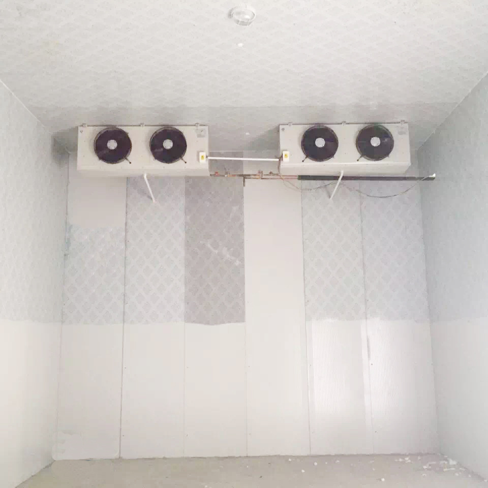 Walk In Cooler Condensing Unit And Evaporator For Cold Room