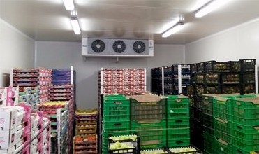 cold room for drinks air conditioner cold room for vegetables and fruit fish processing cold room