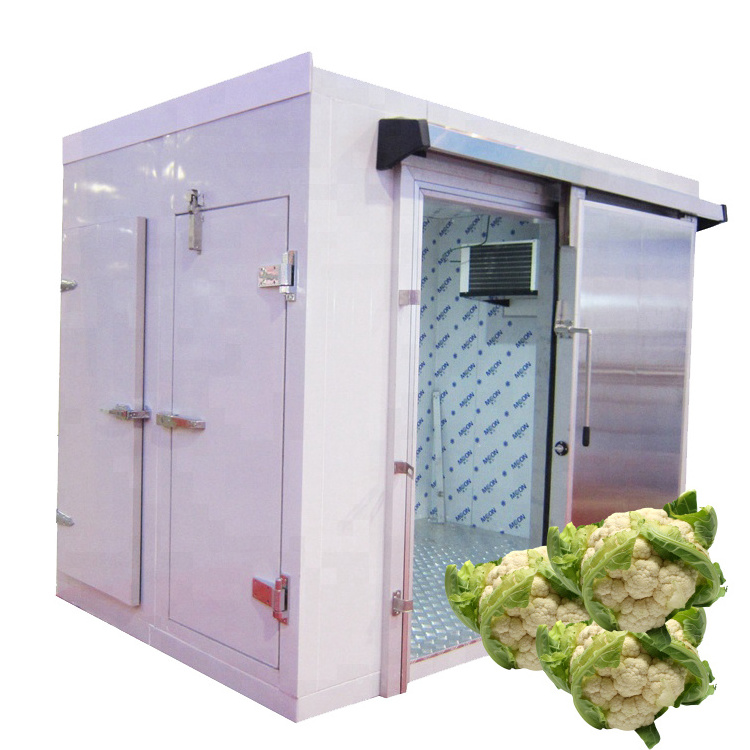 delivery solar powered cold rooms walk in freezer cold room refrigerator freezer cold room storage