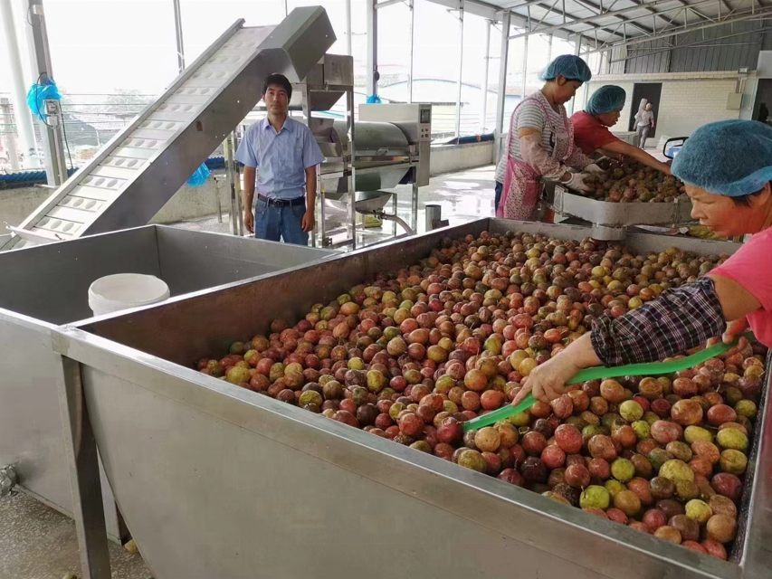 Pomegranate Skin Removing Peeling Pulp Seeds Separating Machine