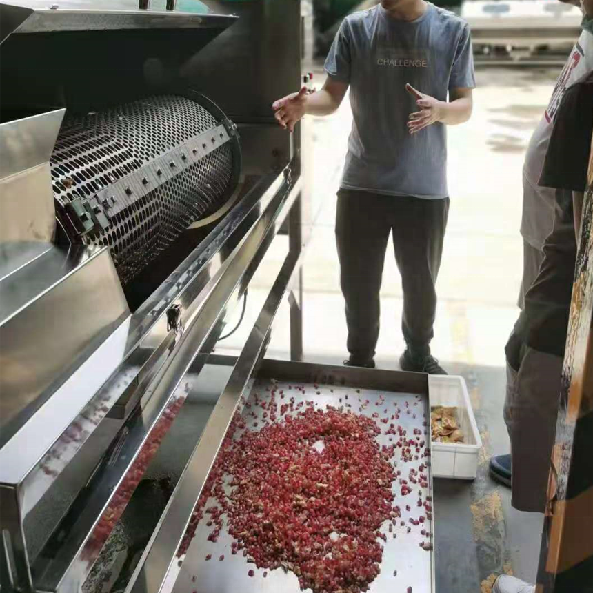 Pomegranate Skin Removing Peeling Pulp Seeds Separating Machine