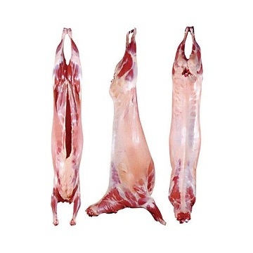 Camel Meat ,Frozen Halal Camel Meat ,boneless camel blade